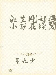 此生刚好遇见你小说在线阅读