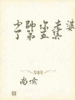 少帅你老婆又跑了第五集