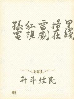 孙红雷扫黑行动电视剧在线观看免费