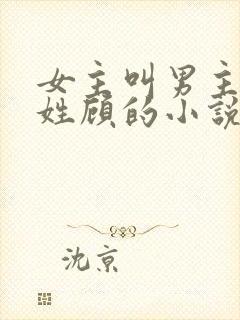 女主叫男主叔叔姓顾的小说