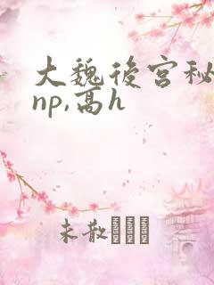 大魏后宫秘史(np,高h