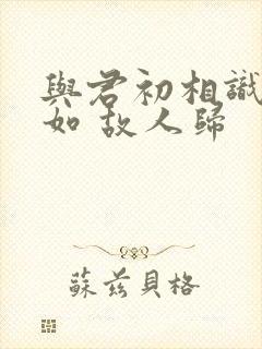 与君初相识 犹如 故人归