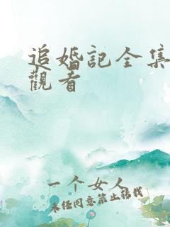 追婚记全集免费观看