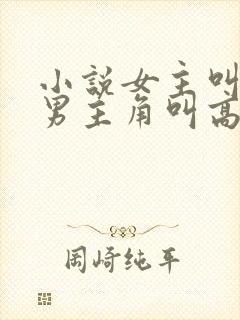 小说女主叫姜妍男主角叫高叶