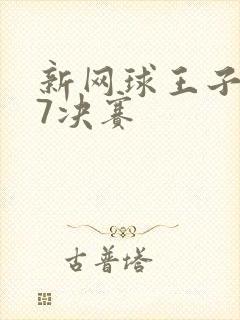新网球王子u17决赛