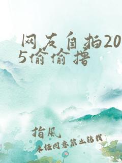 网友自拍2015偷偷撸