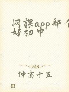 网课app哪个好初中