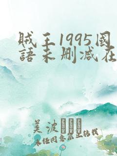 贼王1995国语未删减在线播放