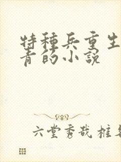 特种兵重生当知青的小说