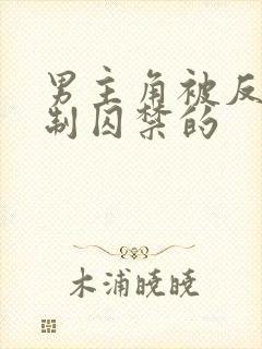 男主角被反派控制囚禁的