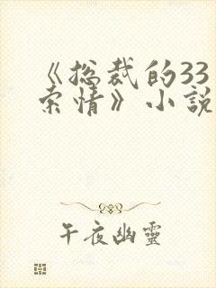 《总裁的33日索情》小说