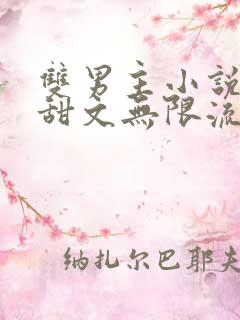 双男主小说推荐甜文无限流