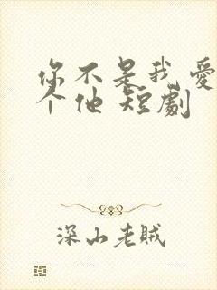 你不是我爱的那个他 短剧