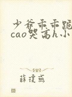 少爷乖乖跪趴被cao哭高h小说