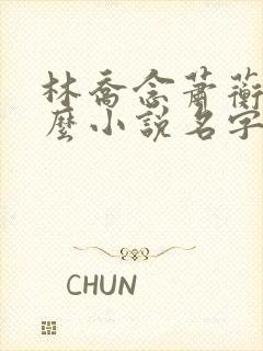 林乔念萧蘅是什么小说名字