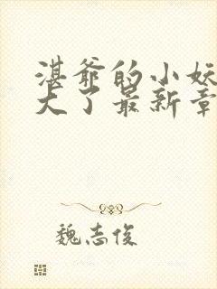 湛爷的小妖精长大了最新章节