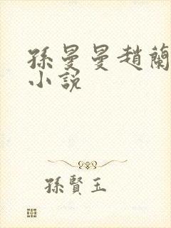 孙曼曼赵兰刘聪小说