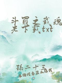斗罗之武魂是绿光下载txt