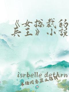 《女总裁的极品兵王》小说