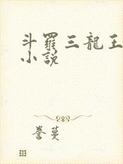 斗罗三龙王传说小说