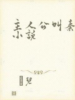 主人公叫秦初的小说