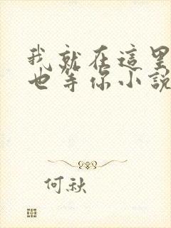 我就在这里等风也等你小说免费阅读