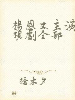 杨恩又主演的电视剧全部