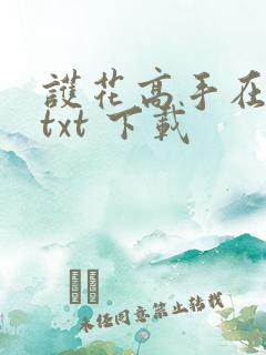 护花高手在都市txt 下载