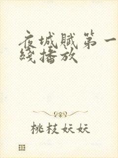 夜城赋第一季在线播放