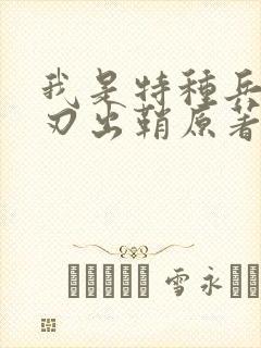 我是特种兵之利刃出鞘原著