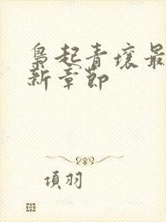 枭起青壤最近更新章节