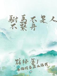 驸马不是人全文不系舟