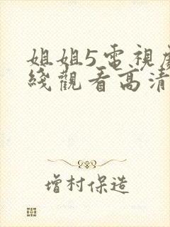 姐姐5电视剧在线观看高清免费版