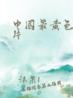 中国最黄色一级片