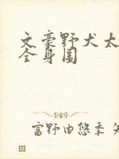 文豪野犬太宰治全身图