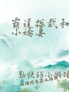 霸道总裁和他的小娇妻