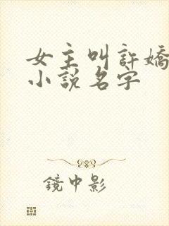 女主叫许娇海总小说名字