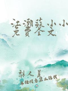 江潮苏小小小说免费全文