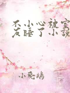 不小心被室友男友睡了小说