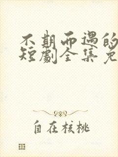 不期而遇的爱情短剧全集免费观看