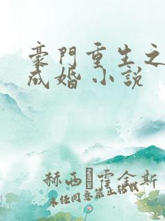 豪门重生之暖爱成婚 小说