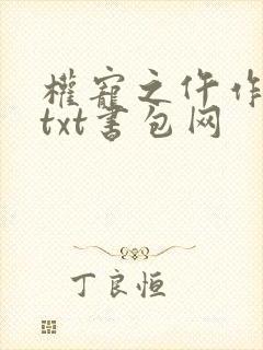 权宠之仵作医妃txt书包网