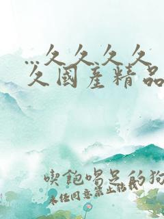 ...久久久久久国产精品