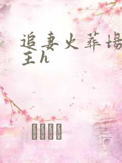 追妻火葬场双男主h