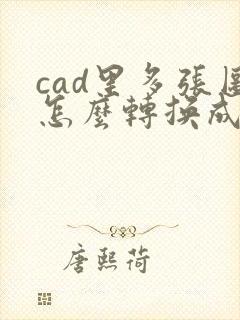 cad里多张图怎么转换成pdf格式