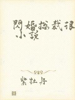 闪婚总裁很惧内 小说