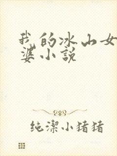 我的冰山女神老婆小说