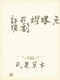 许我耀眼免费电视剧