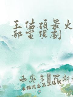 王佑硕最火的十部电视剧