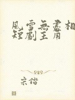 风雪无尽相思情短剧主角